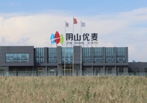 權(quán)威！陰山優(yōu)麥被認(rèn)證為“中國(guó)有機(jī)燕麥第 一品牌”